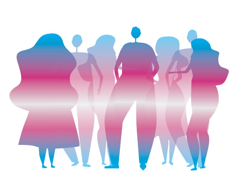 illustration of people's shadows in trans pride colors